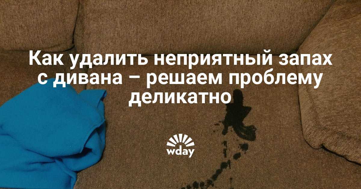 Как убрать с дивана запах мочи в домашних условиях: 20 лучших средств и методов