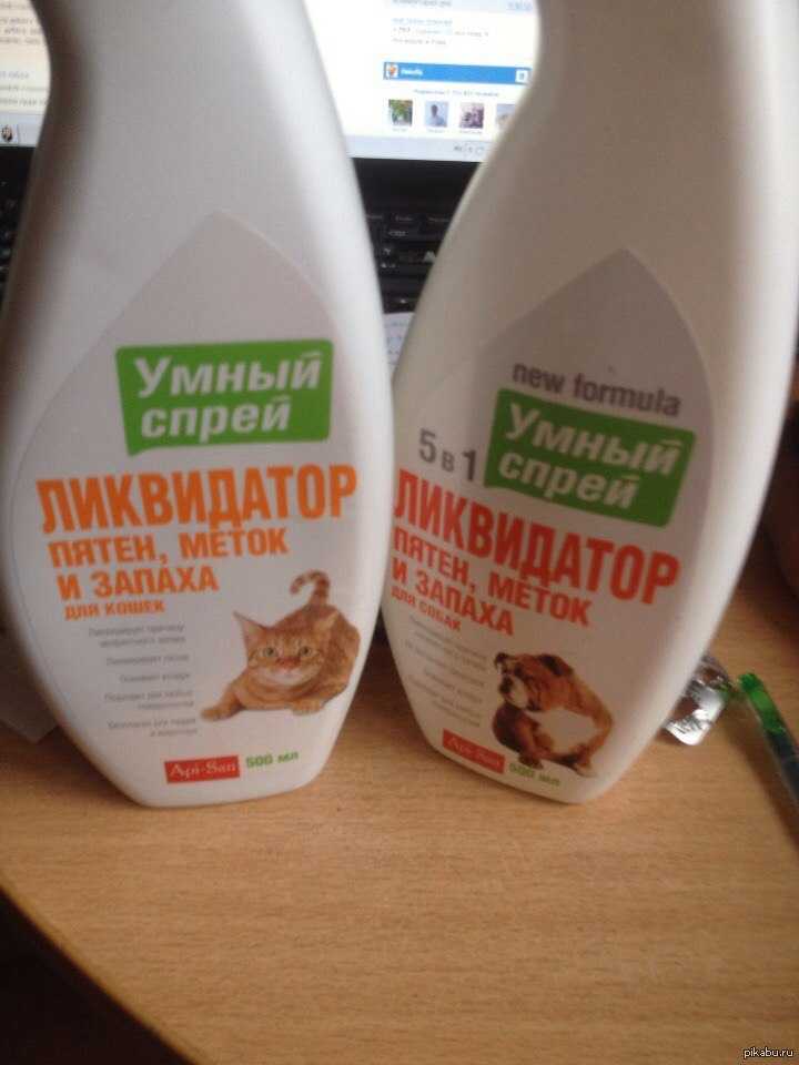 Как избавиться от запаха кошачьей мочи с дивана и другой мебели