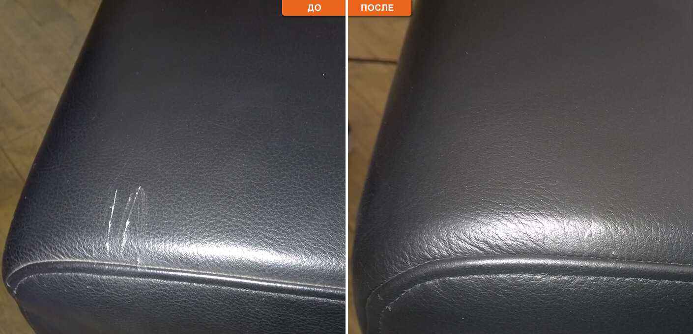 Кот поцарапал кожаный диван - что делать? sokol-clean.ru