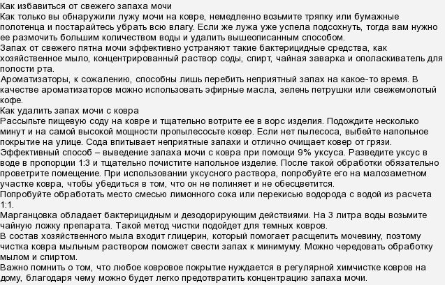 Как избавиться от запаха мочи на диване в домашних условиях
