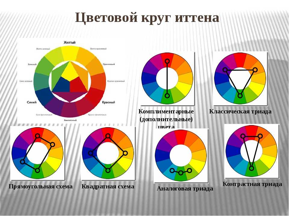 Круг освальда для колористики волос. фото, изучение, как пользоваться, подобрать оттенок эстель, капус, других красок