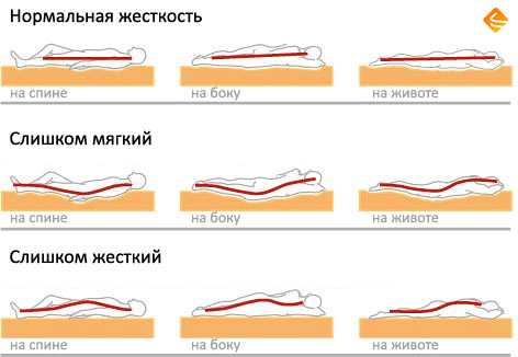 Как выбрать матрас для кровати: 8 критериев и главные правила покупки