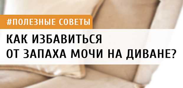 Как убрать запах мочи с дивана